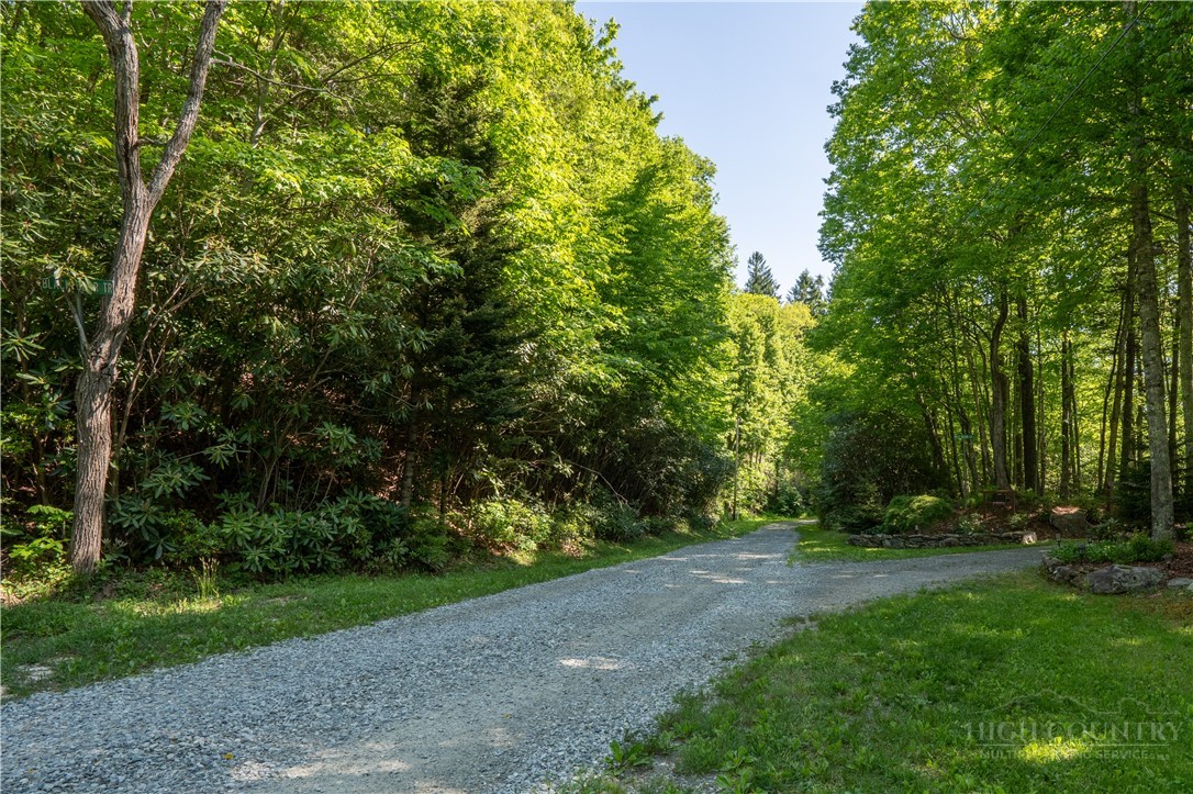 Tbd Black Bear Trail Property Photo 7