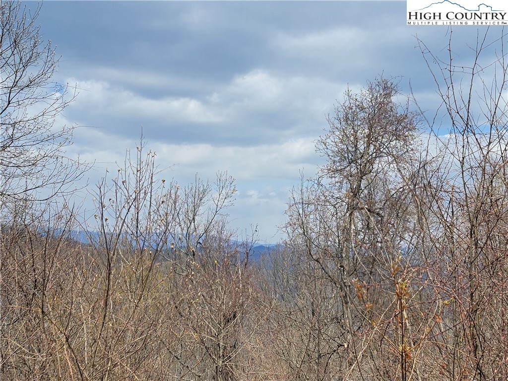 Tbd (lots 37&38) Granite Springs Trail Property Photo 3