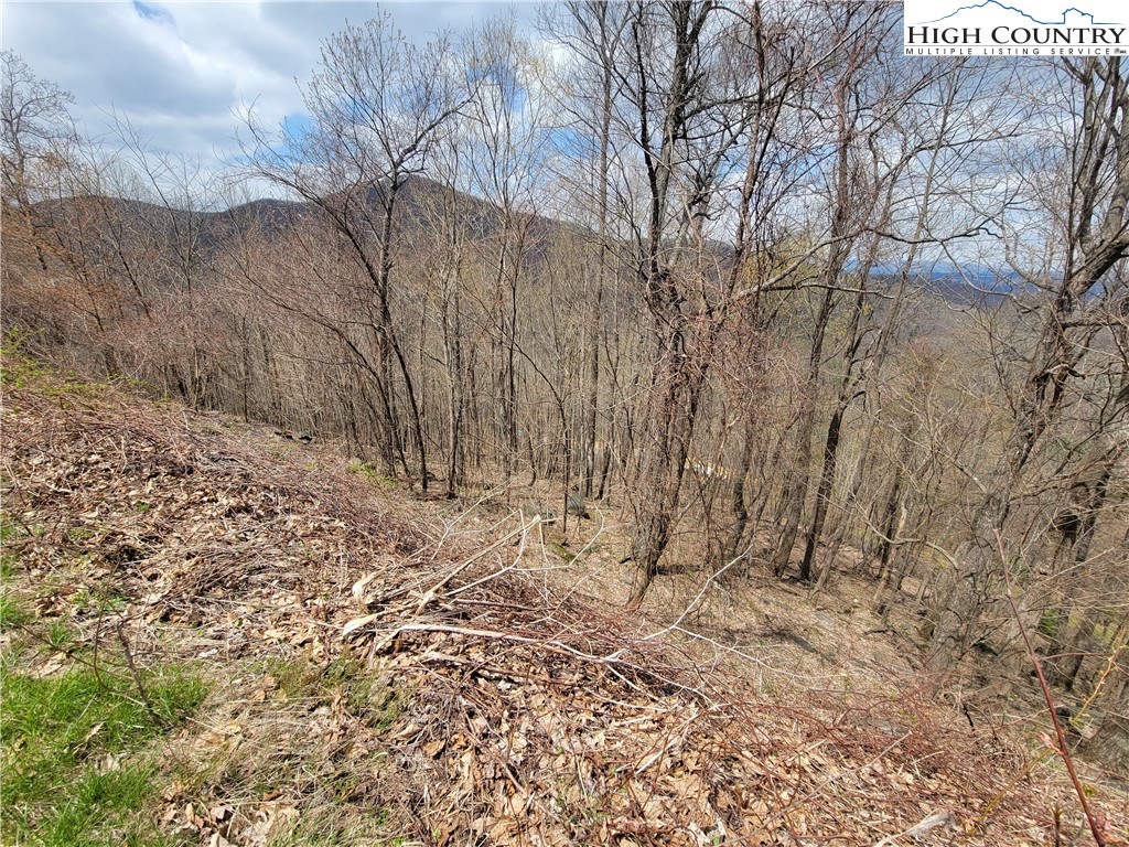 Tbd (lots 37&38) Granite Springs Trail Property Photo 5