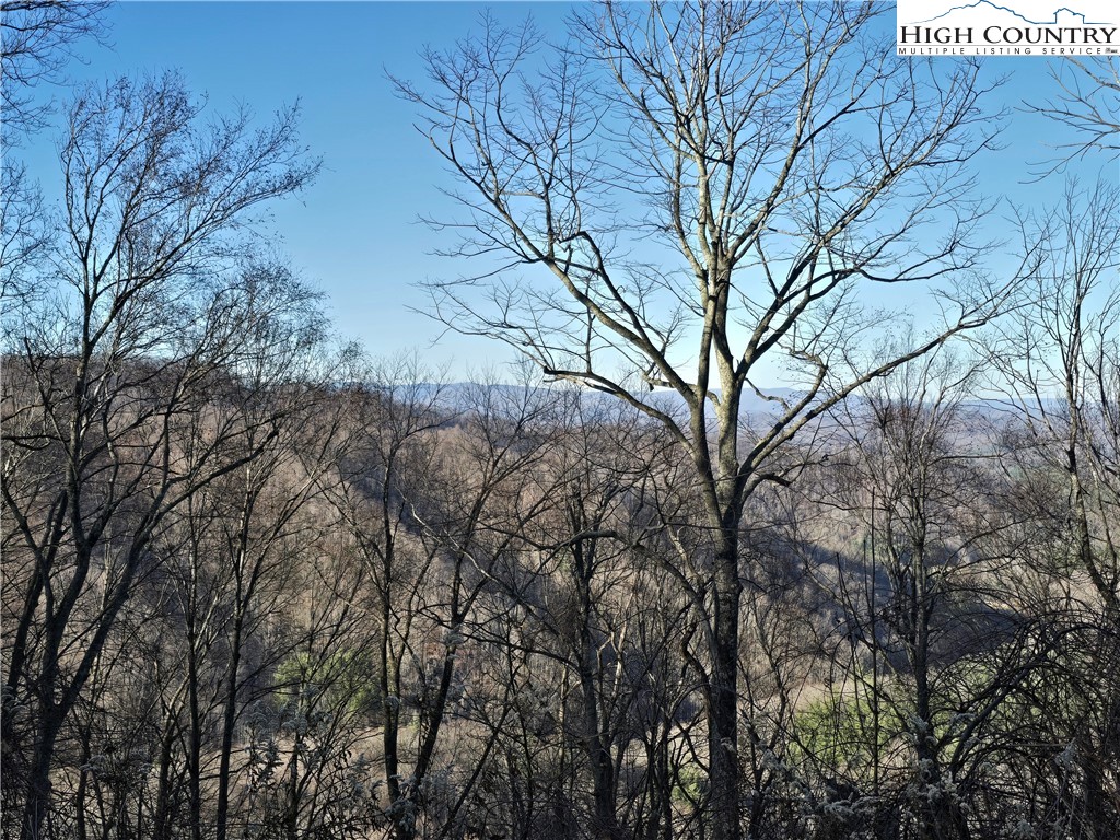 Tbd (lots 37&38) Granite Springs Trail Property Photo 6