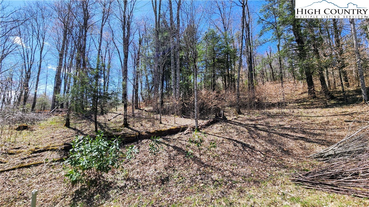 Lot 36 Running Bear Circle Property Photo 1