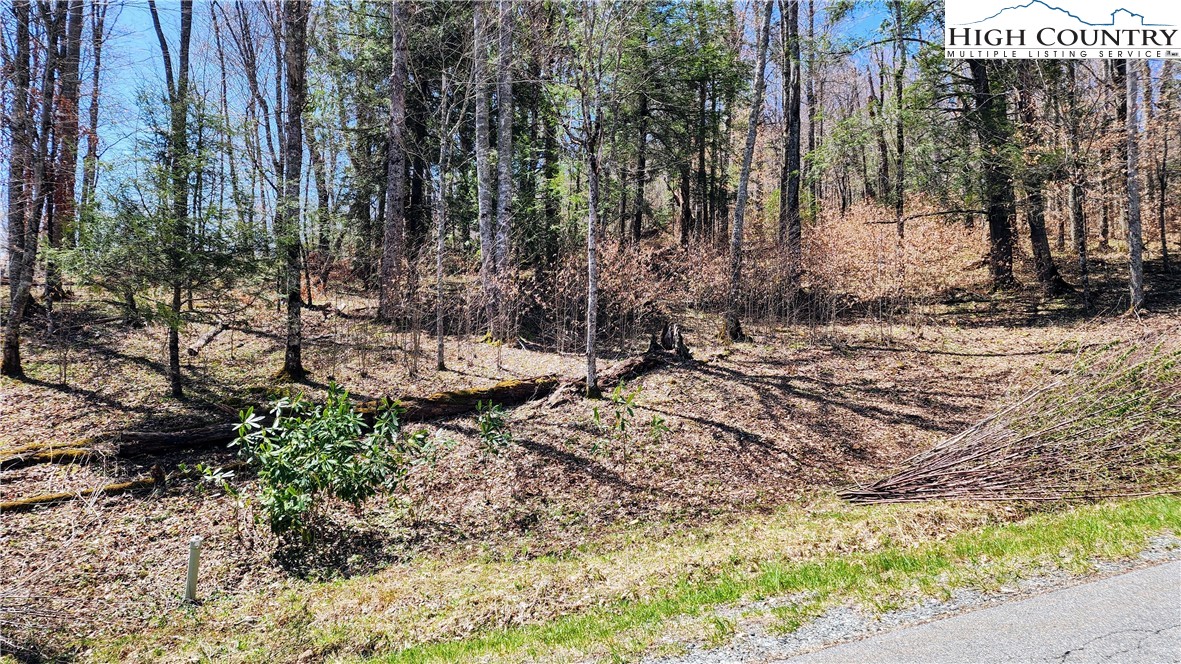 Lot 36 Running Bear Circle Property Photo 4