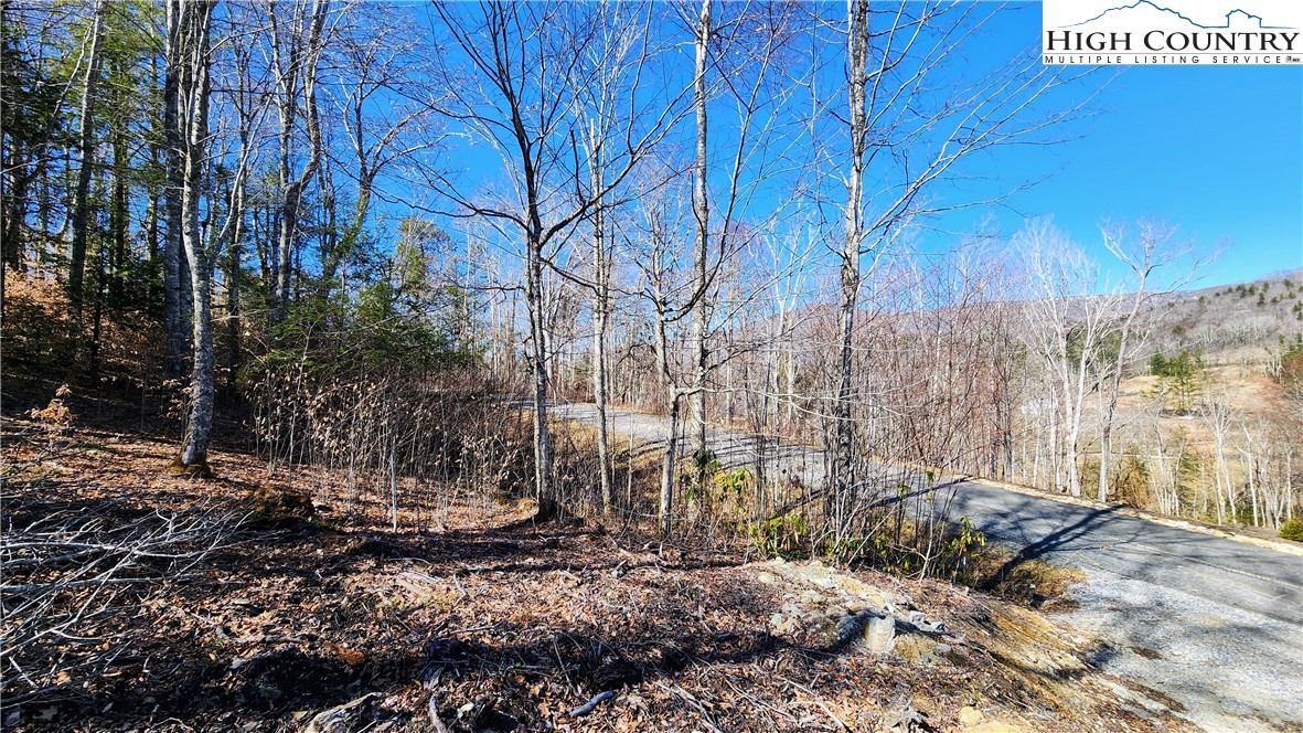 Lot 36 Running Bear Circle Property Photo 6