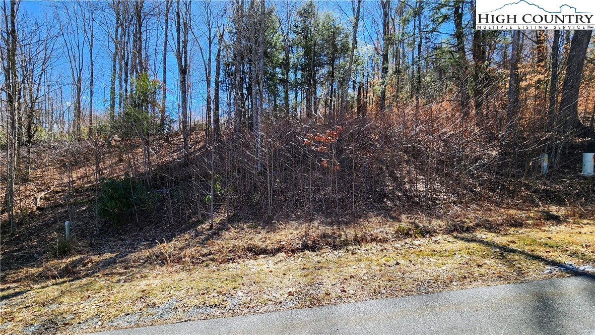 Lot 36 Running Bear Circle Property Photo 7