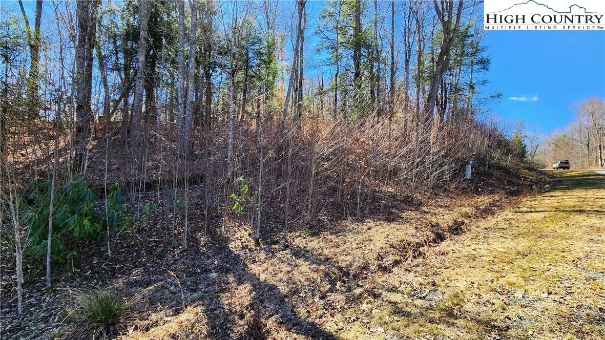 Lot 36 Running Bear Circle Property Photo 9