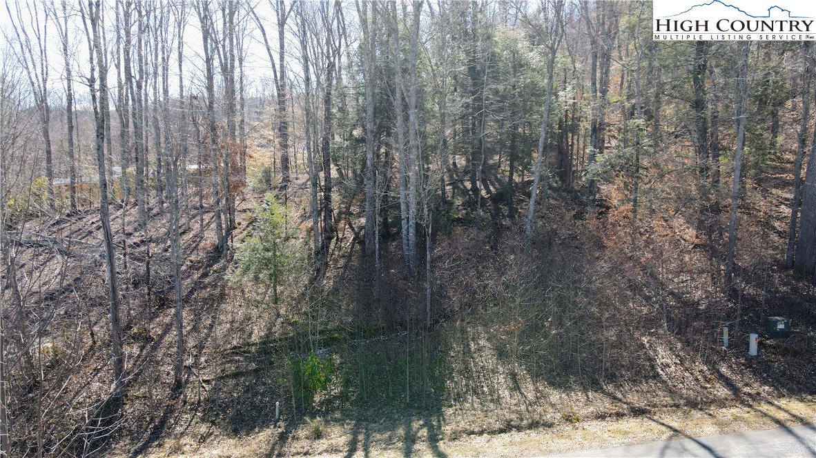 Lot 36 Running Bear Circle Property Photo 10