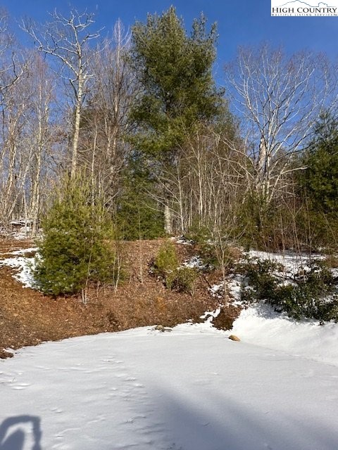 Lot 9 Trillium Lane Property Photo 3