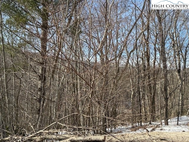 Lot 9 Trillium Lane Property Photo 5