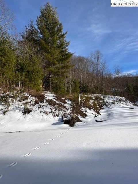 Lot 9 Trillium Lane Property Photo 6