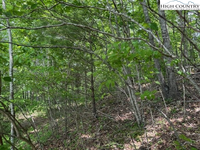 Lot 9 Trillium Lane Property Photo 14