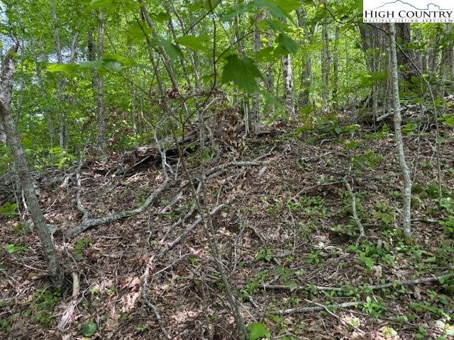 Lot 9 Trillium Lane Property Photo 15