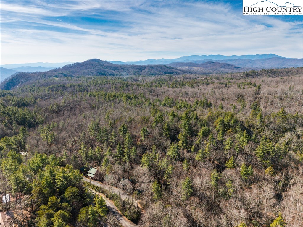 68 Bear Den Mountain View Drive Property Photo 27