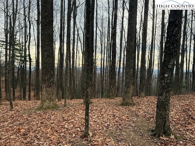 Tbd Jobs Road Property Photo 1