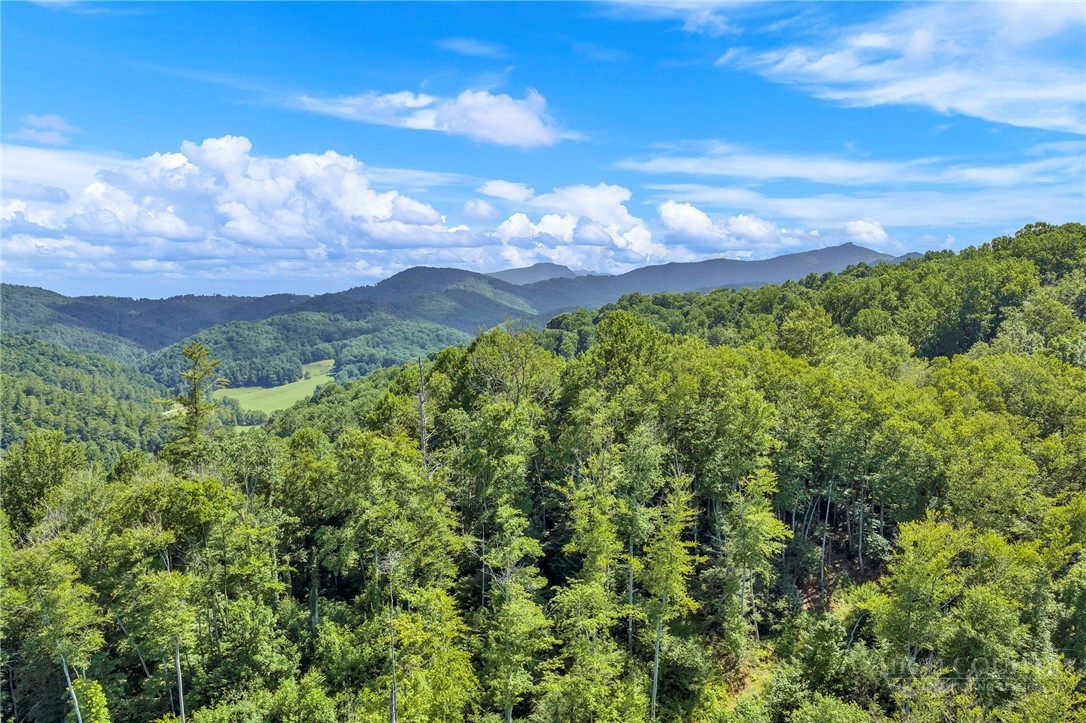 3606 NC Highway 194 S Property Photo 1