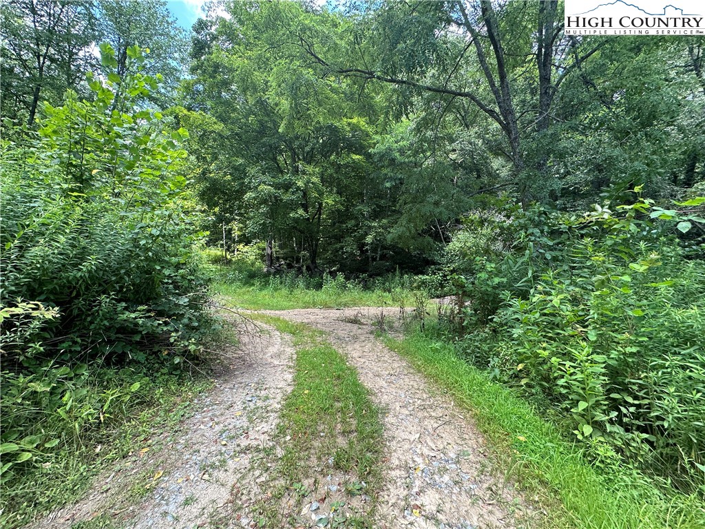 3606 Nc Highway 194 S Property Photo 32