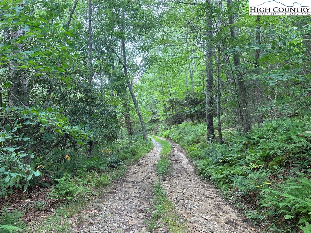 3606 Nc Highway 194 S Property Photo 36