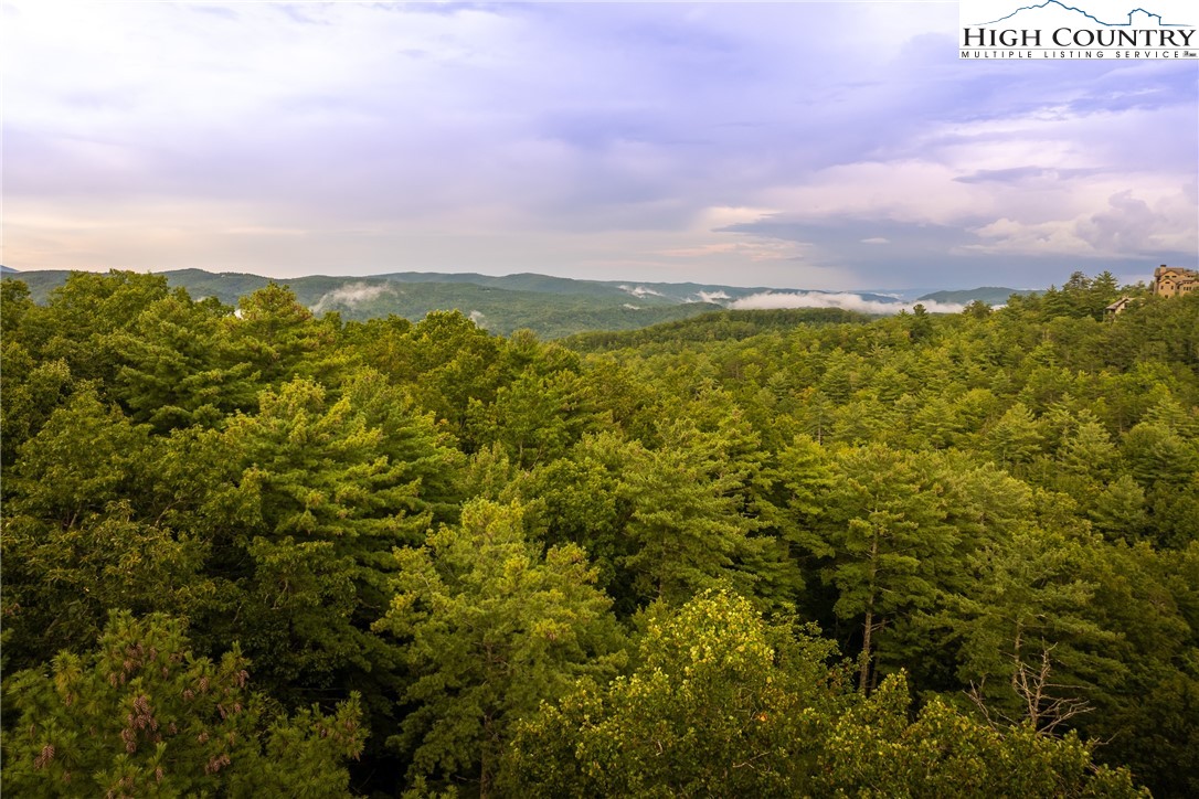 227 Red Cedar Road Property Photo 2