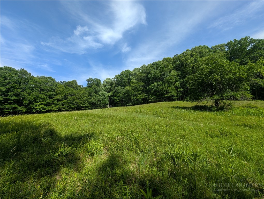 Tbd Bledsoe Creek Road Property Photo 1