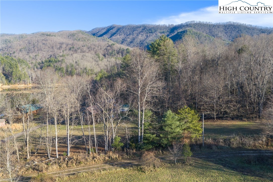 1183 Cowan Town Property Photo 11