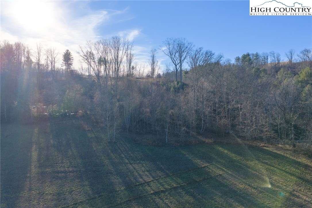 1183 Cowan Town Property Photo 15