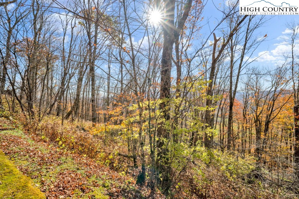 Lot 7 Fox Pointe