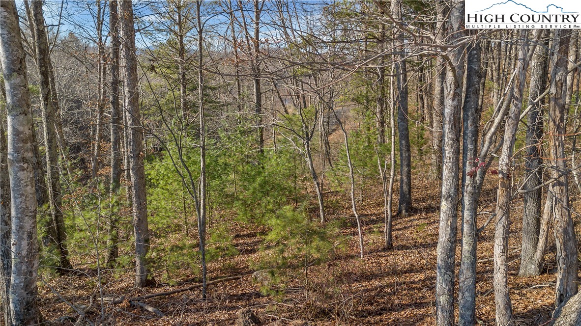 Tbd River Stone Drive Property Photo 5