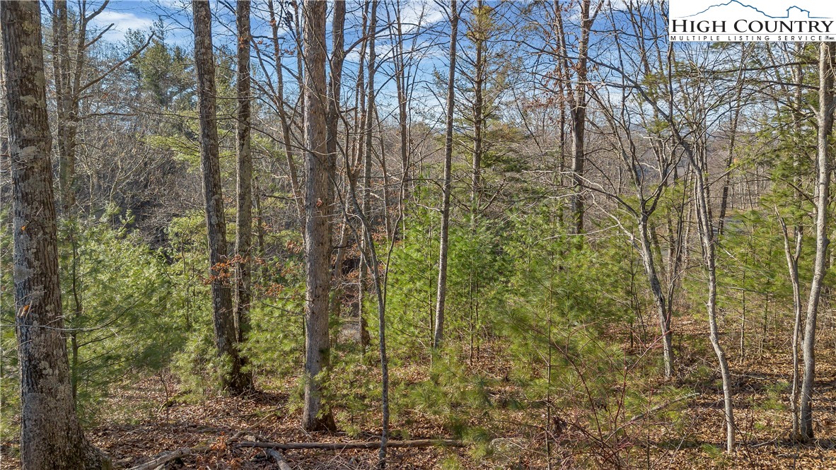 Tbd River Stone Drive Property Photo 6