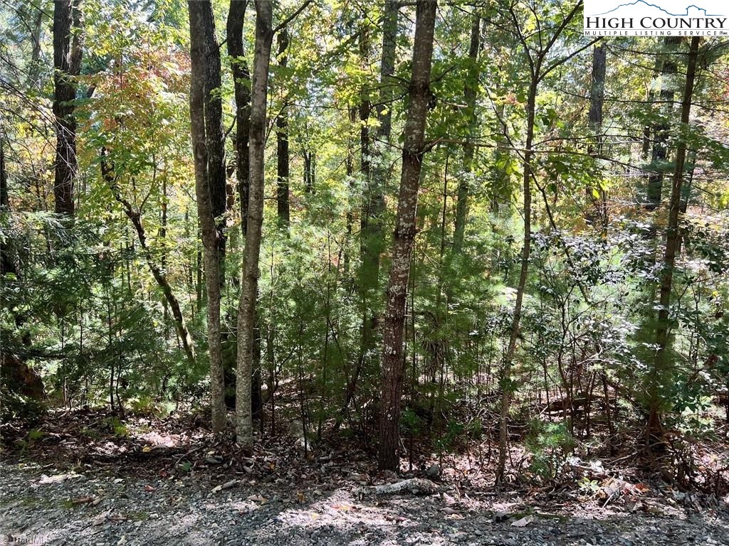 8 Laurel Road Property Photo 1