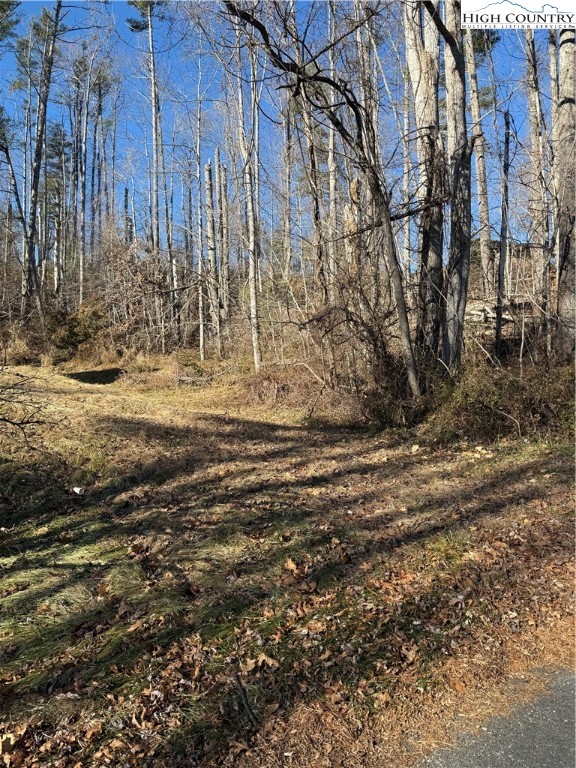 Tbd George Mckinney Circle Property Photo 2