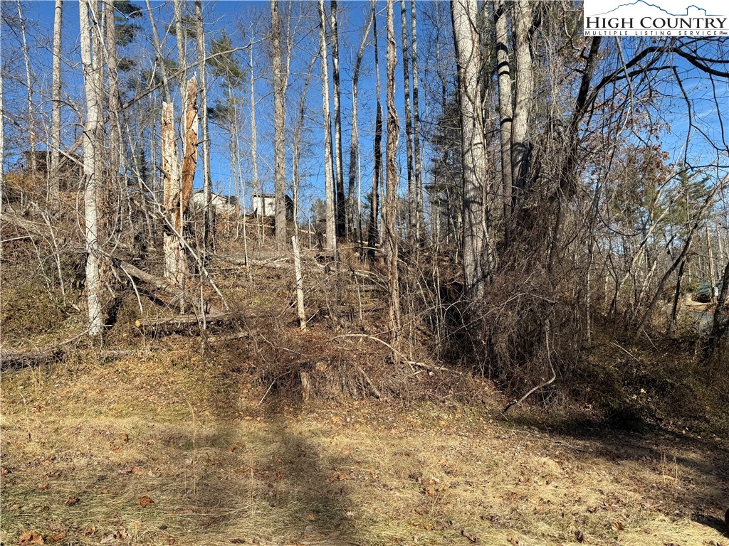 Tbd George Mckinney Circle Property Photo 3