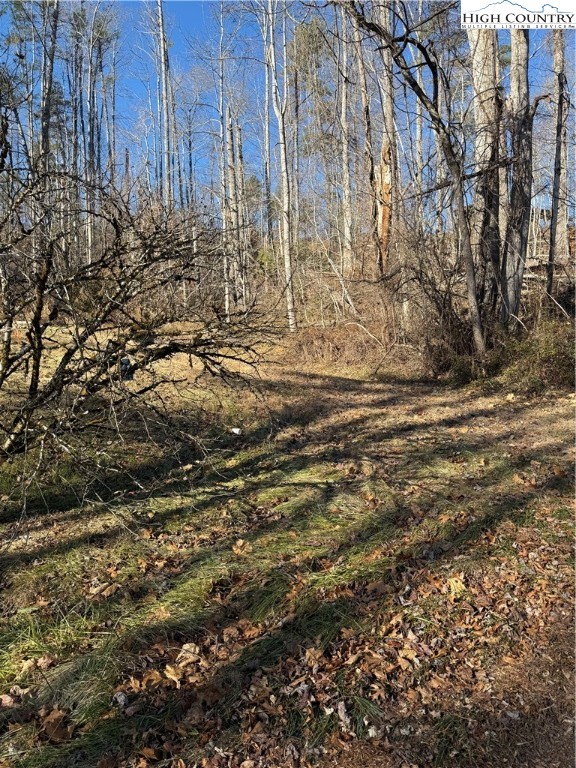 Tbd George Mckinney Circle Property Photo 8