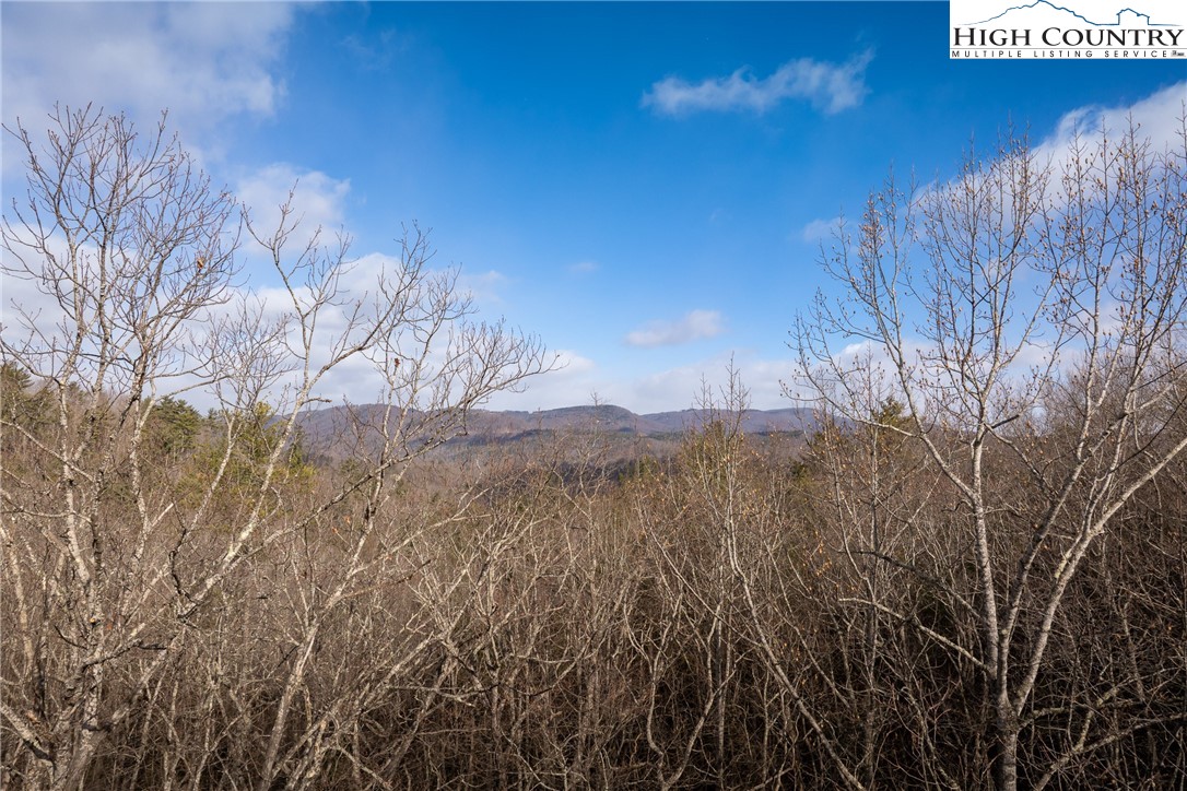 180 Marigold Road Property Photo 1