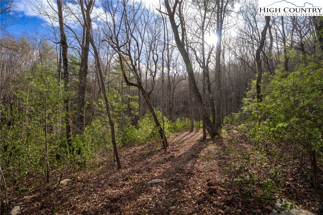 180 Marigold Road Property Photo 2