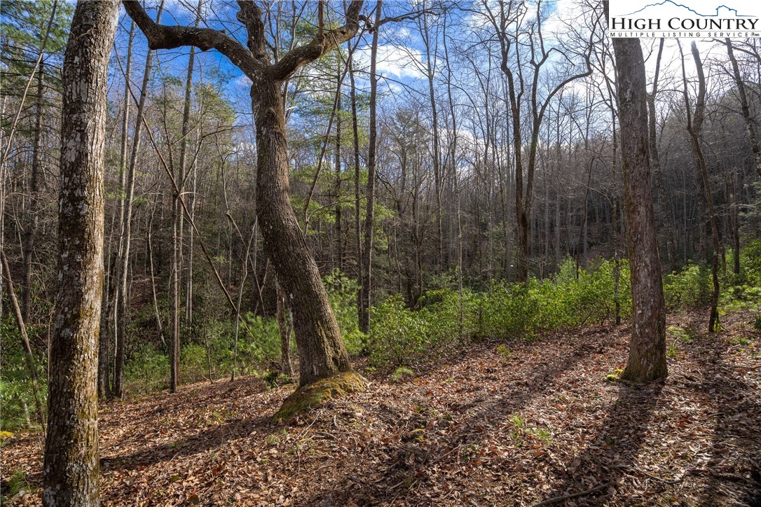 180 Marigold Road Property Photo 3