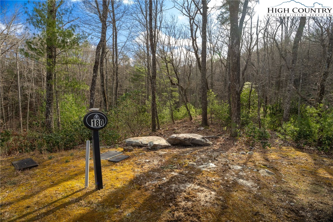 180 Marigold Road Property Photo 4