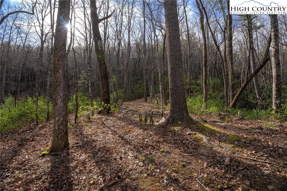 180 Marigold Road Property Photo 5