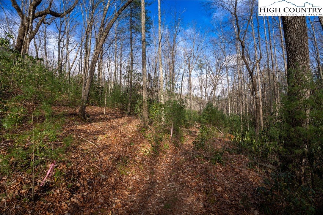 180 Marigold Road Property Photo 6