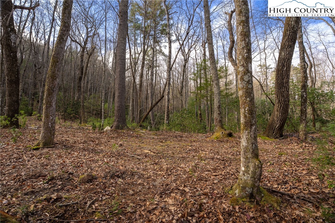 180 Marigold Road Property Photo 7