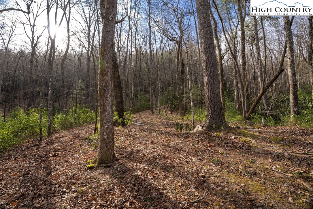 180 Marigold Road Property Photo 8