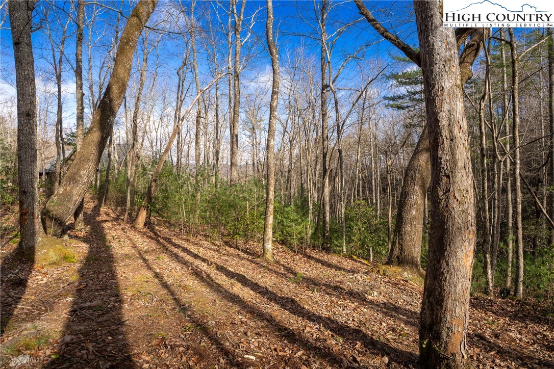 180 Marigold Road Property Photo 10