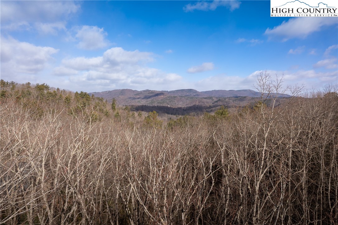 180 Marigold Road Property Photo 11