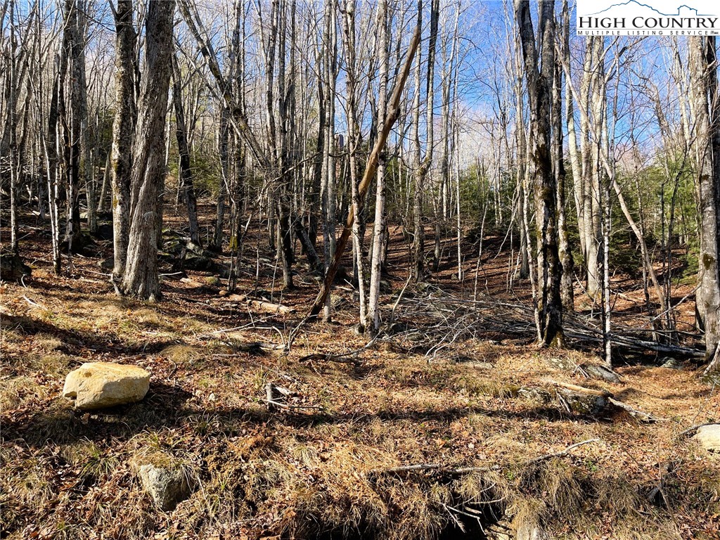 135 Lakeledge Circle Property Photo 1