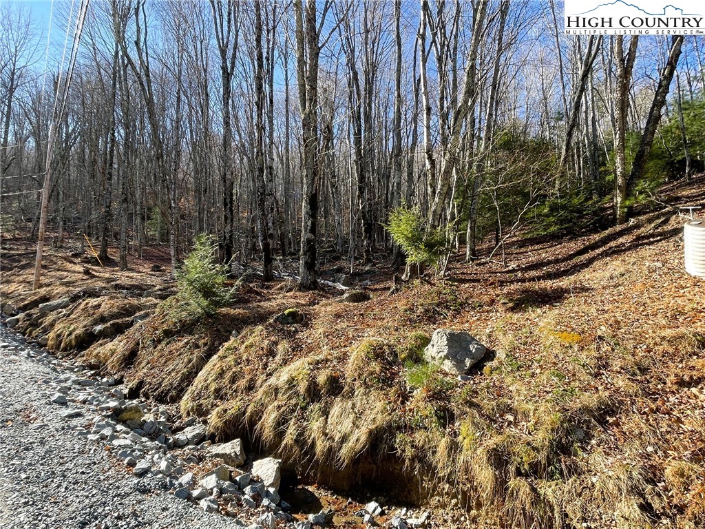 135 Lakeledge Circle Property Photo 2
