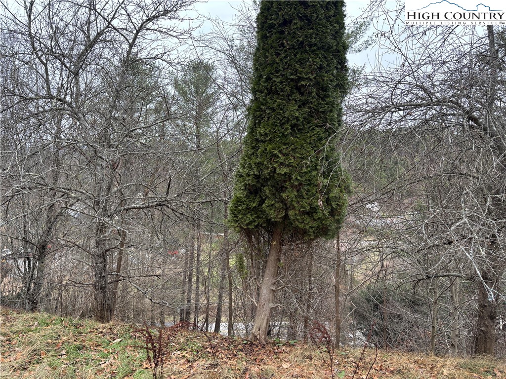 206 Bryant Combs Road Property Photo 34