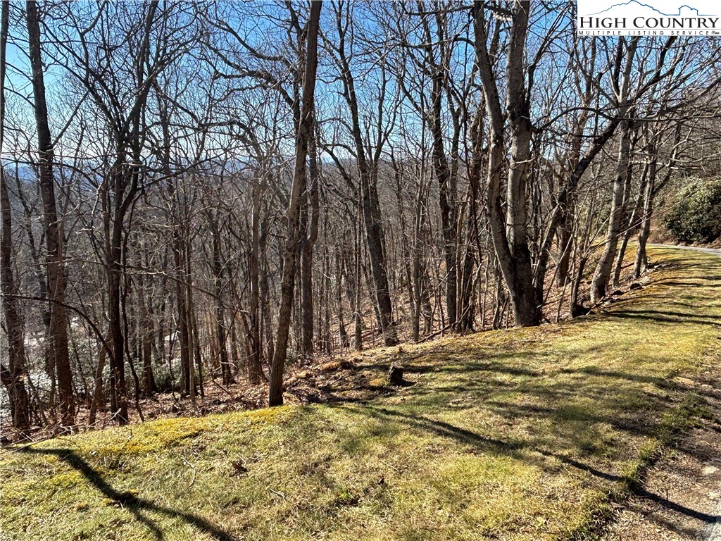 Tbd State View Road Property Photo 4
