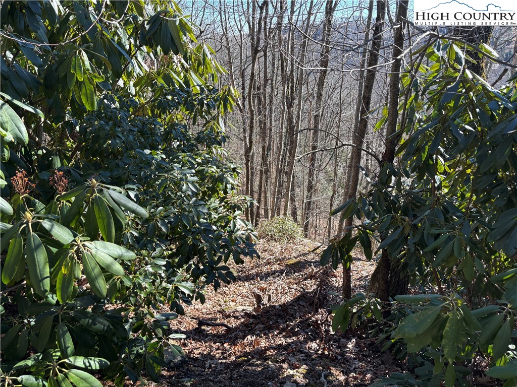 Tbd State View Road Property Photo 5