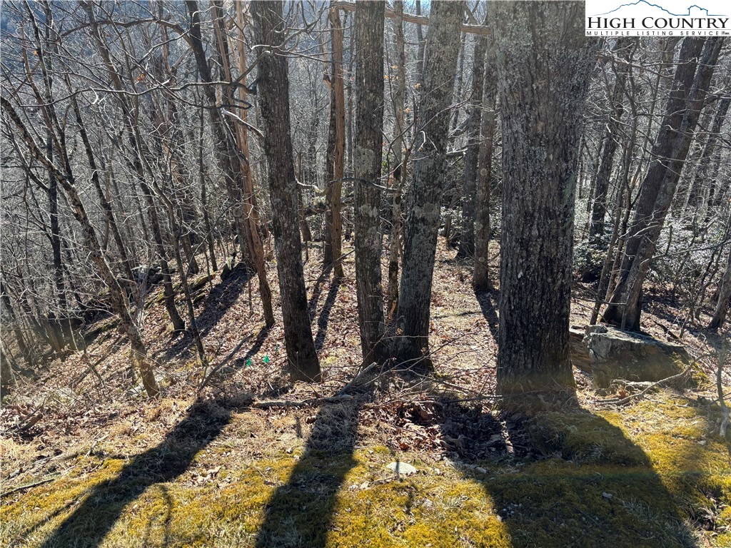 Tbd State View Road Property Photo 6