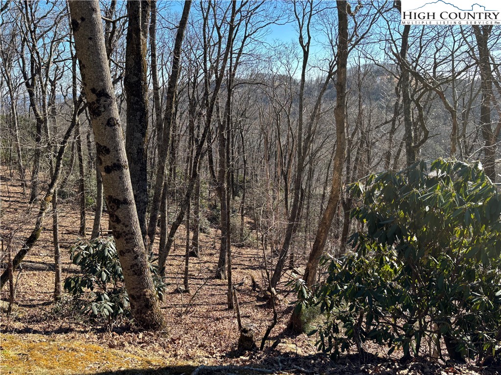 Tbd State View Road Property Photo 7