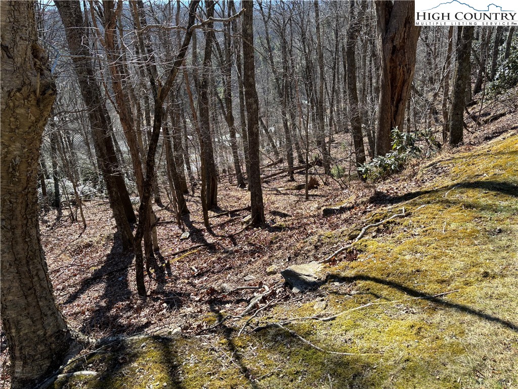Tbd State View Road Property Photo 8
