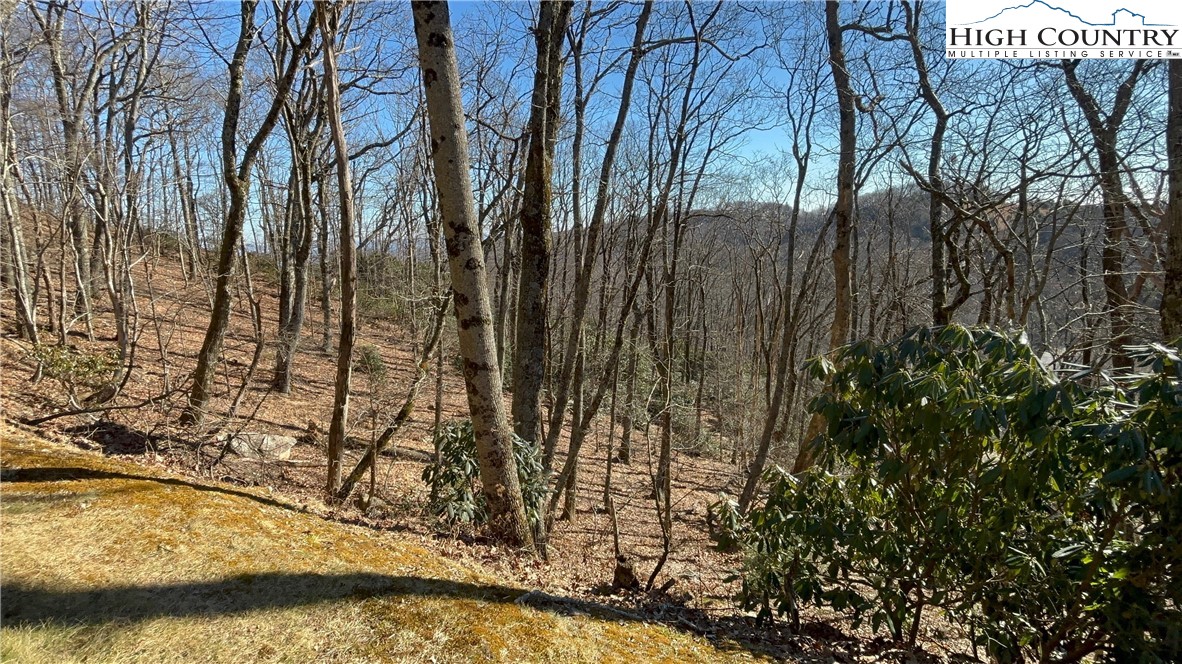 Tbd State View Road Property Photo 9